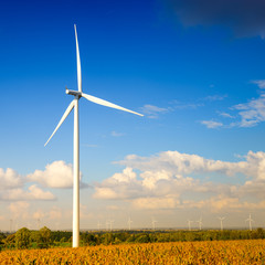 Fototapeta premium Eco power, wind turbines