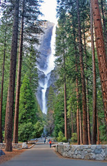 Yosemite Falls seen through the trees on the valley floor in Yosemite National Park, California - obrazy, fototapety, plakaty