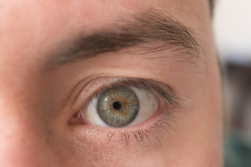 Obraz premium Retrato macro de un ojo color gris y en el centro marron