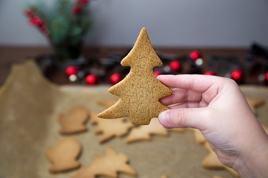 Boys hand holding a Christmas tree ginger cookie