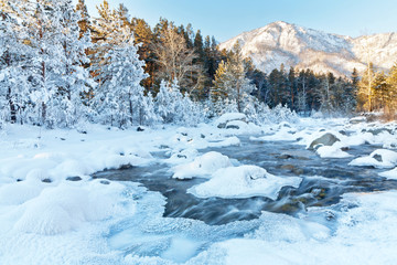 A beautiful winter landscape with a mountain river with snow-covered trees along the shore on a frosty January afternoon. Winter New Year's travels during the holidays