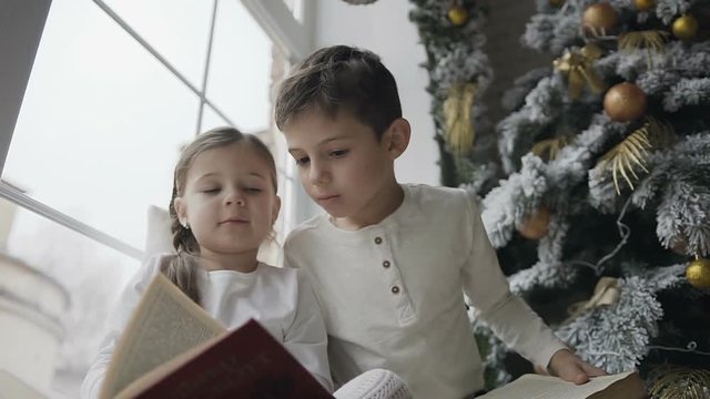 Close up, brother and sister sitting on the window sill of a large window near a christmas tree and reading books. Winter holiday