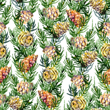 Coniferous, pine, spruce, vegetative, forest, festive, New Year's background. Watercolor. Illustration © Irina