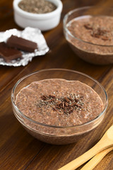 Chocolate chia seed pudding in glass bowl with chia seeds and chocolate shavings on top, photographed with natural light (Selective Focus, Focus in the middle of the chia pudding)
