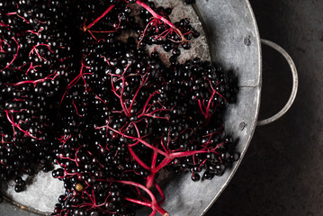 fresh elderberries on black background