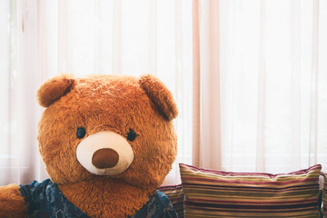 Brown teddy bear in Living room.