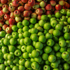 Bunch of green and red apples displayed at market place.
