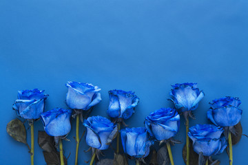 無料イラスト画像 綺麗な綺麗 青い バラ イラスト