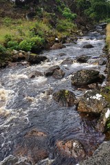 Bubbling rapids on a mountain stream