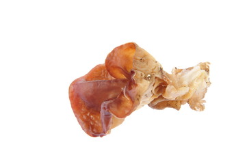 Black fungus on a white background