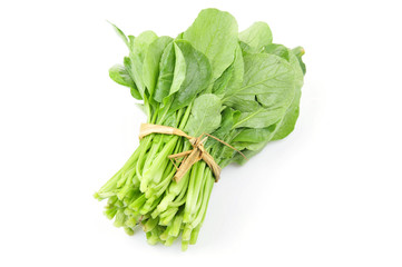 Vegetables cabbage on a white background 
