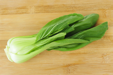 Chinese cabbage