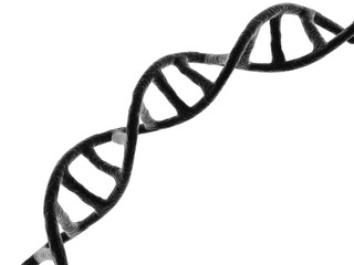3d rendered dna in white background