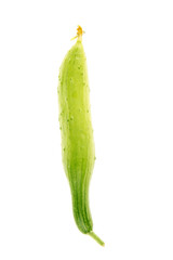 White background of cucumber