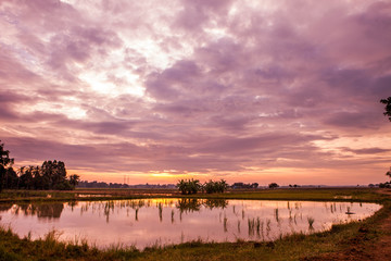 is sunset sky background
