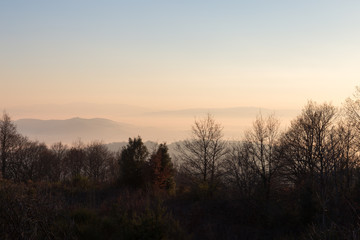 Fototapeta na wymiar A sea of fog between some hills and some more distant mountains, with a line of trees in the foreground. It's sunset, so the colors are warm and soft