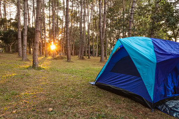 Blue camping Tents in Nature background with sunset and light flare  in  forest pine tree at Thung Salaeng Luang National Park Phitsanulok and Phetchabun Provinces of Thailand.