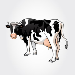 Vector illustration of a cow