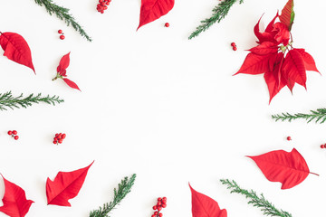 Christmas composition. Frame made of christmas poinsettia on white background. Top view, flat lay, copy space