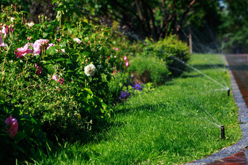 sprinkler spraying water