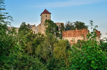 Fototapeta na wymiar Beautiful castle ruins. Tenczyn castle in Rudno, Poland.