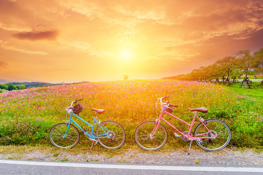 beautiful landscape image with bicycles at sunset