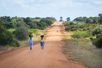 The road to Mapai, Mozambique - obrazy, fototapety, plakaty