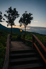 Tropical Forest Sunrise and walkway
