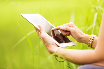 Hands using tablet computer in green field