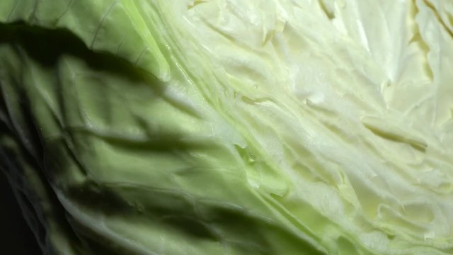 Cabbage in rotation close up
