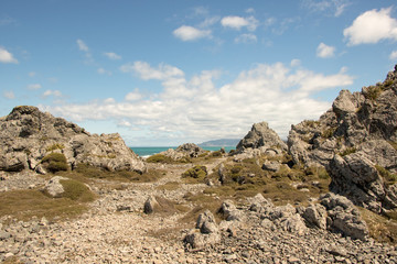 Boulders At Wainuiomata Beach 