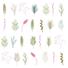 Floral vector seamless pattern with hand drawn pine and fir trees twigs, branches, laurels and berries. Festive winter holidays or christmas background.