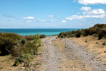 Beach Road In New Zealand 