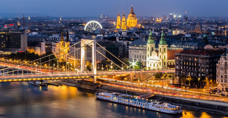 Fototapeta premium Elisabeth Bridge - Budapest
