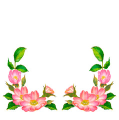 Banner with Beautiful Hand Drawn Wild Tea Roses