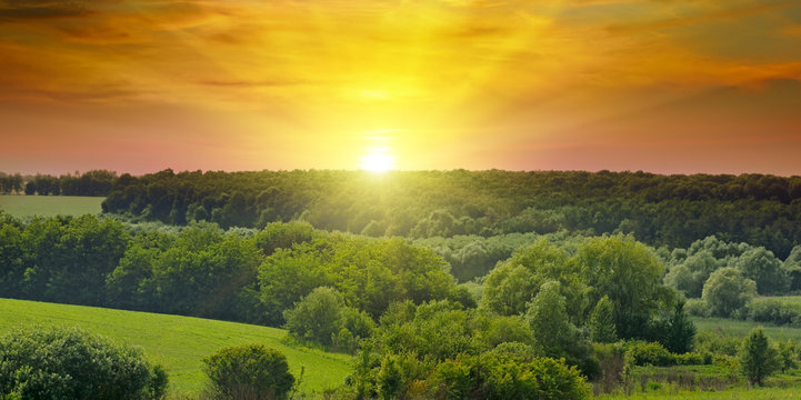 Green fields and bright sunrise. Wide photo. Agricultural landscape.