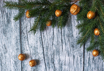 Branches of fir trees with Christmas ornaments of gilded nuts on a background of old wooden panels, Christmas background