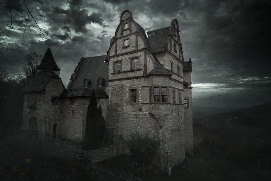 kranichfeld-83-adobe-stock