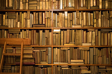 Bookshelf Background, No Names/Brands