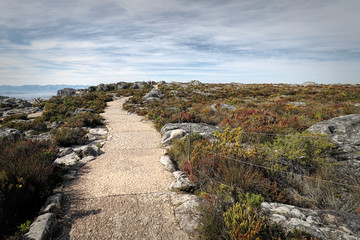 Hiking on the Table Mountain, Cape Town, South Africa