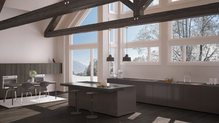 Fototapeta na wymiar Modern kitchen in classic villa, loft, big panoramic windows on winter meadow, white and gray minimalist interior design
