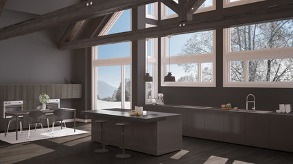 Modern kitchen in classic villa, loft, big panoramic windows on winter meadow, gray minimalist interior design