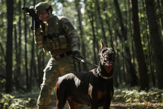 Image of airsoft player with dog and submachine gun