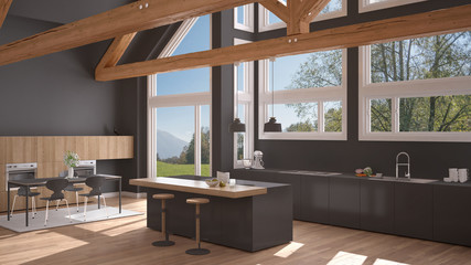 Modern kitchen in classic villa, loft, big panoramic windows on summer spring meadow, white and gray minimalist interior design