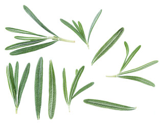 Rosemary herb.