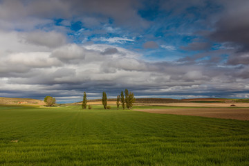paisaje