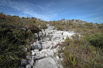 Hiking on the Table Mountain, Cape Town, South Africa