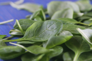 Green leaves of fresh spinach