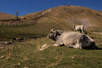 Campo Imperatore