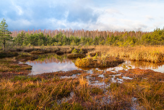 Landscape, Sulphur isotopic bog